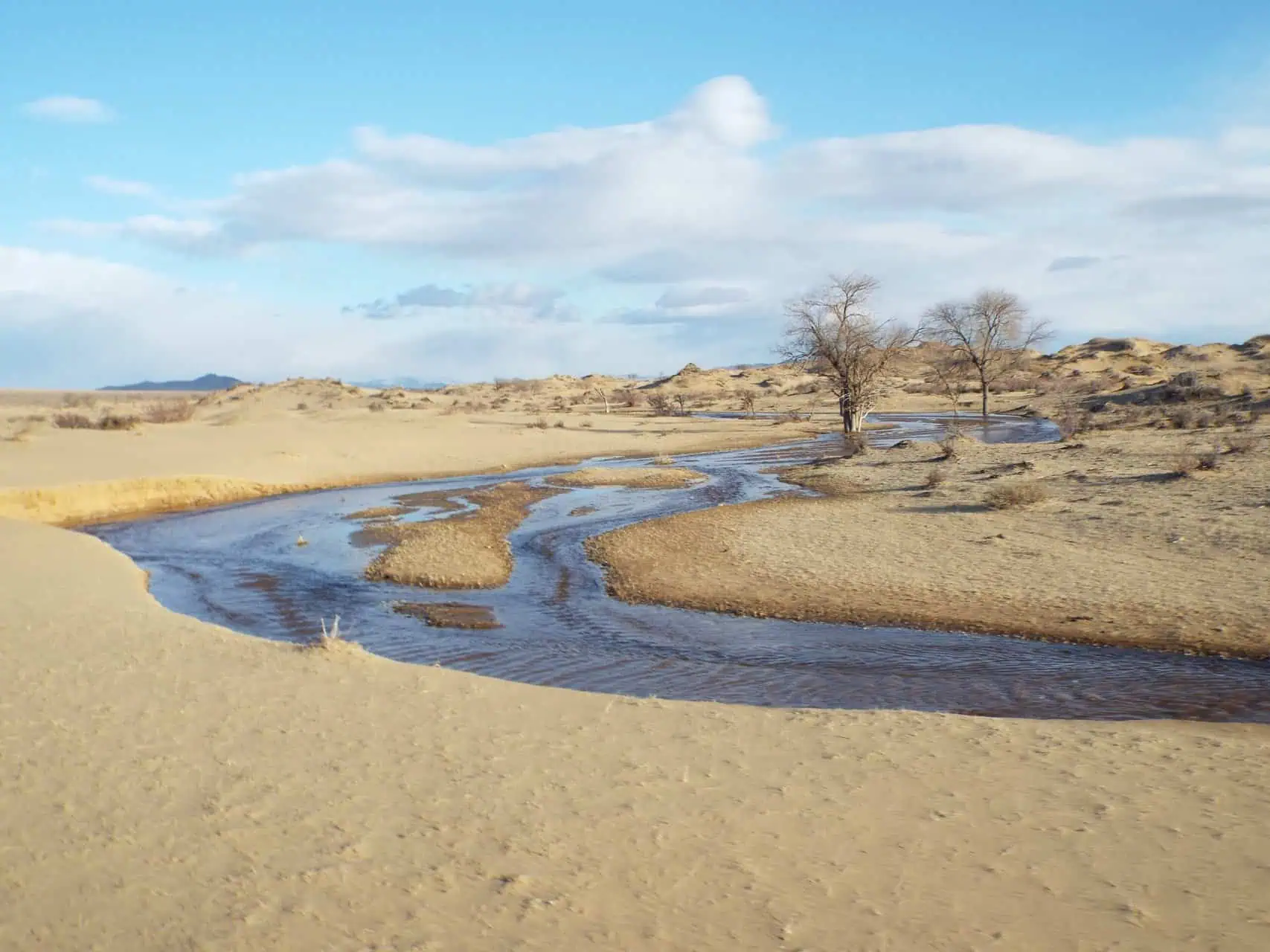 Gobi Desert in Mongolia by Very Tasty World