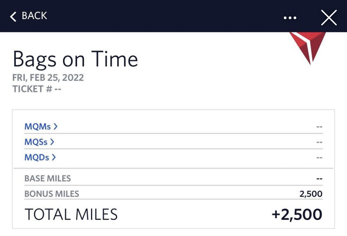 delta skymiles bag bonus