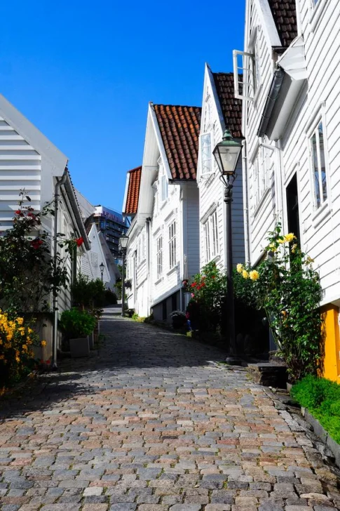 Charming cobblestone alley in Old Town Stavanger, Norway with white wooden houses and flowers