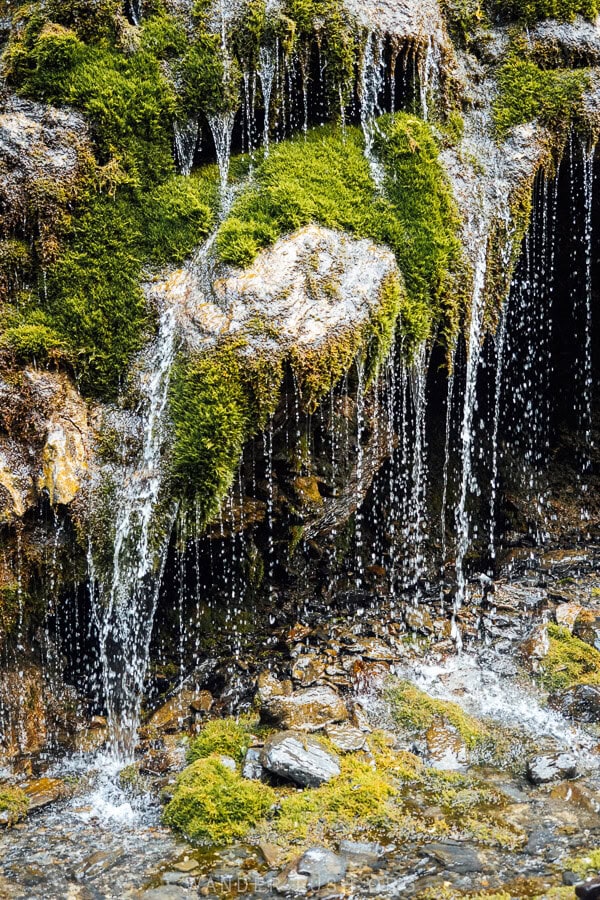 Guro's Tears, a waterfall on the road to Shatili in Khevsureti with moss and trickling spring water.