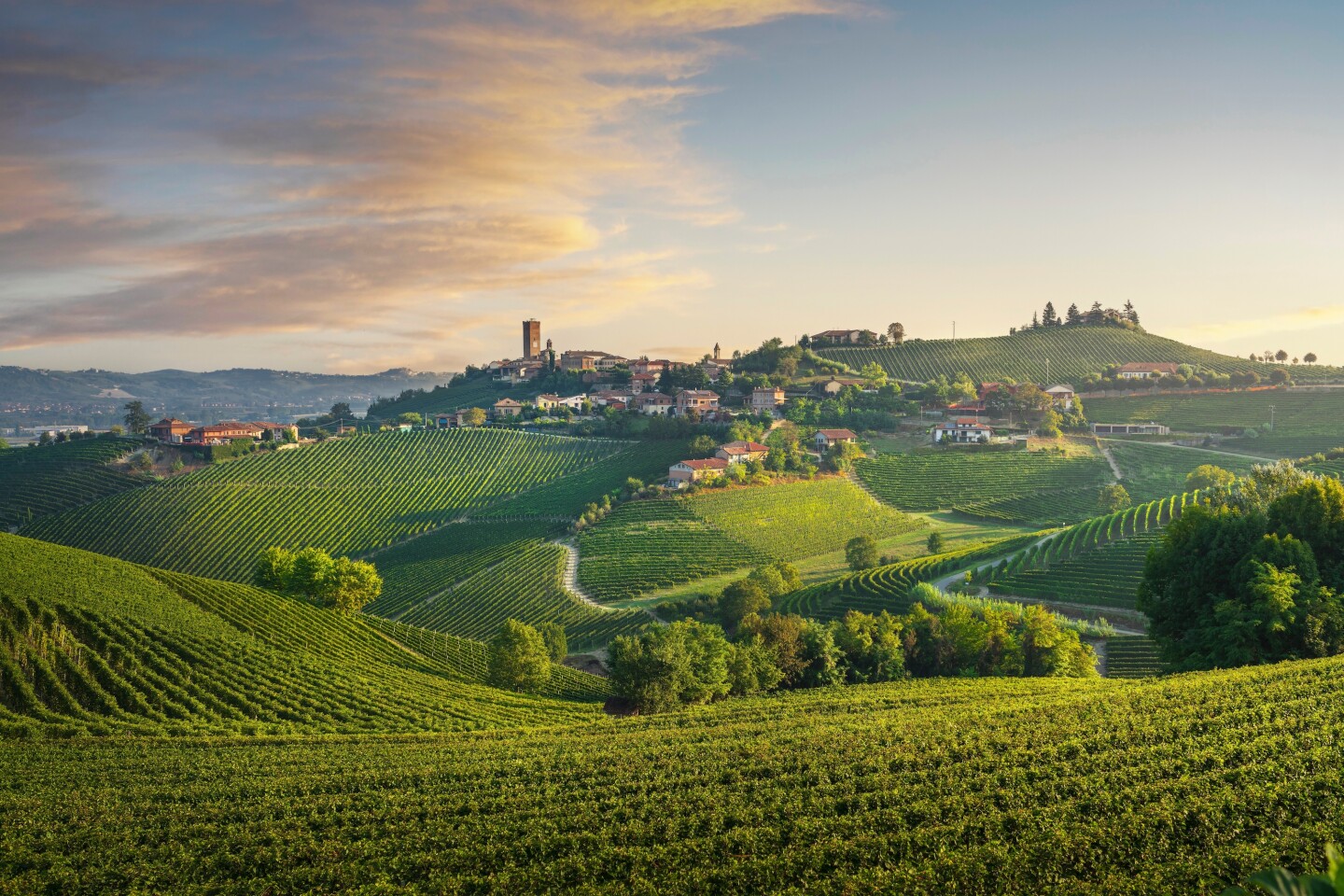 Rolling green hills covered in vineyards with historic village and a tower in the distance in Italy's Piedmont region