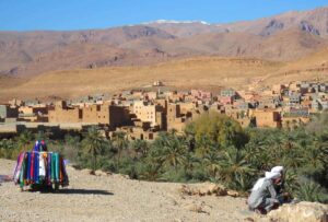 The guide to Surviving Morocco