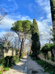 The One Place You Must Visit in Saint-Rémy-de-Provence