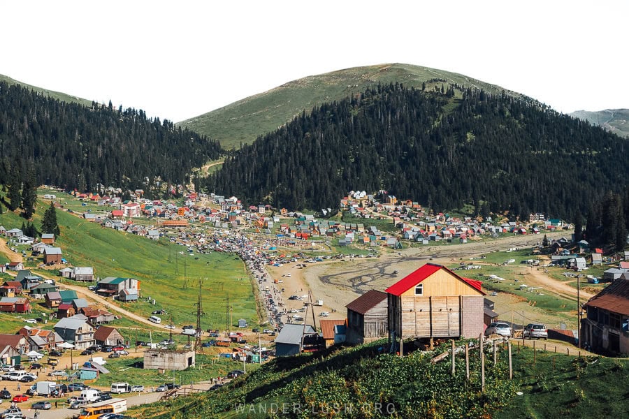 A view of Bakhmaro resort, colourful cottages arranged between pine-clad trees in Western Georgia.