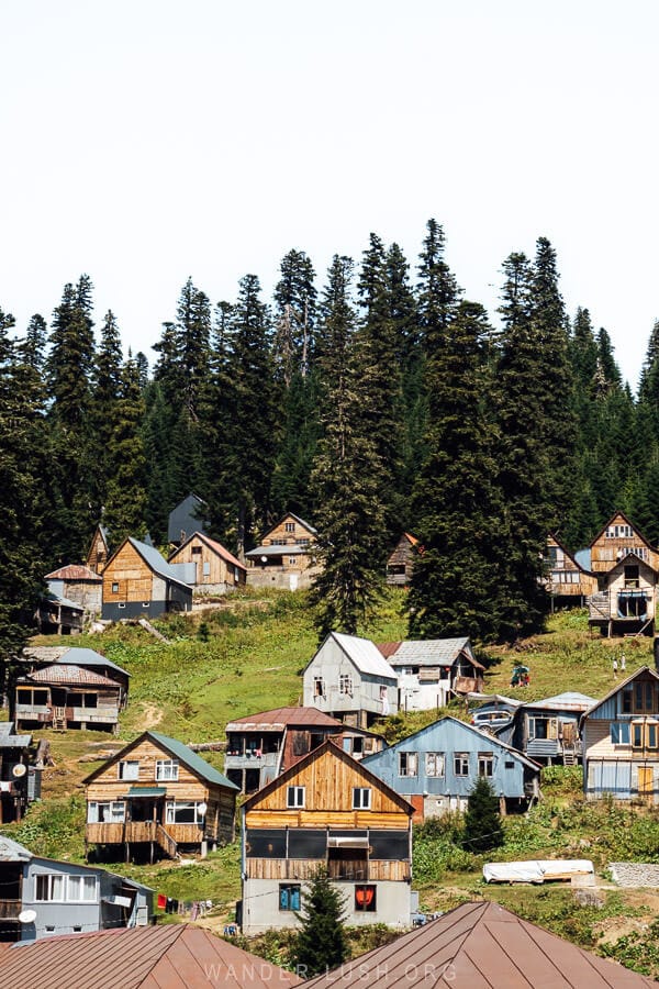 Little holiday houses in the alpine resort of Bakhmaro, Georgia, surrounded by pine forests.