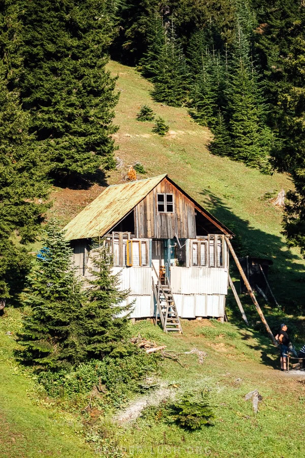 A ramshackle cabin in Bakhmaro.