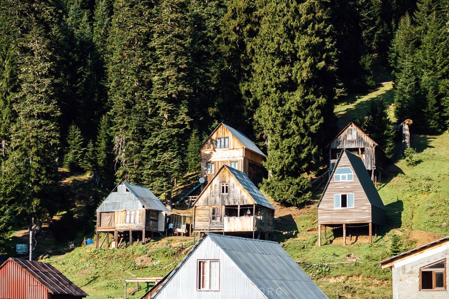 A-frame cabins arranged along a hillside in Bakhmaro resort.