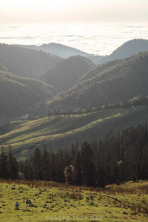 Green hills at dusk in Bakhmaro.