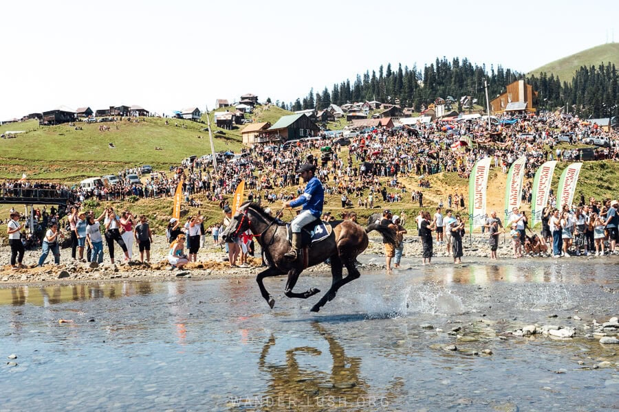 A horse gallops across the river in Bakhmaro as a crowd looks on.