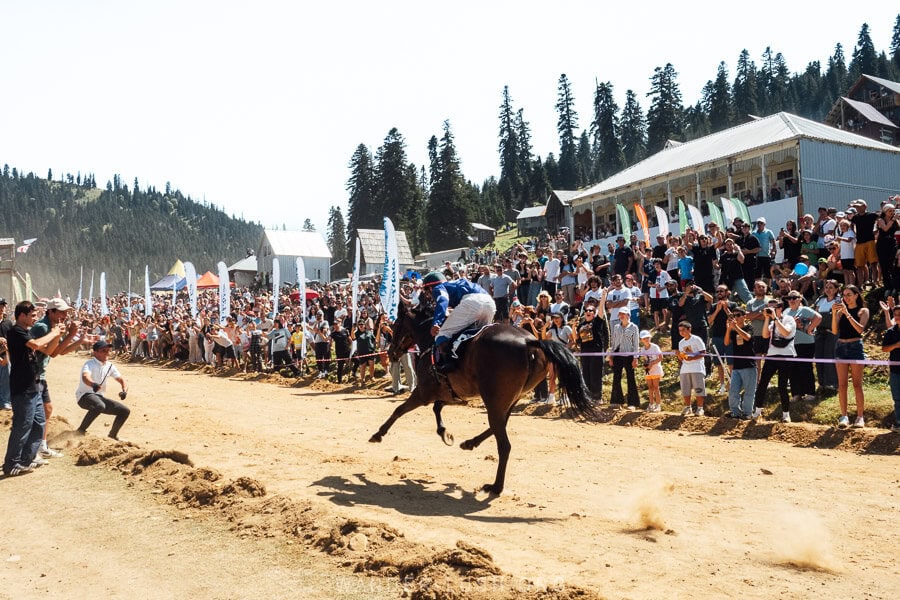 A horse races towards the finish line of the Bakhmaro Doghe, a traditional horserace in Guria.