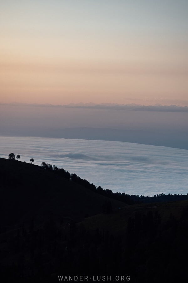 A pink and purple mist in the valley from a viewpoint in Bakhmaro.