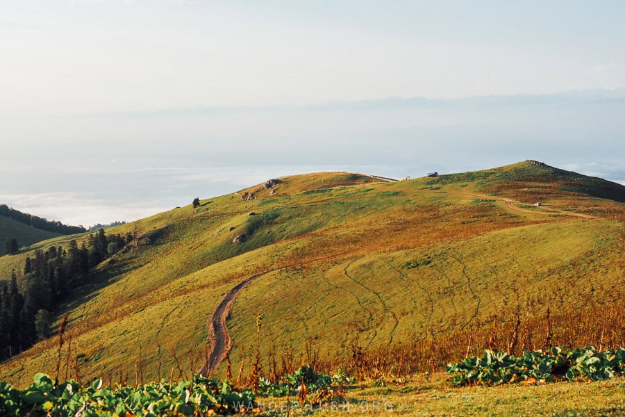 A green hill carved with a dirt track at Sunset Mountain in Bakhmaro.