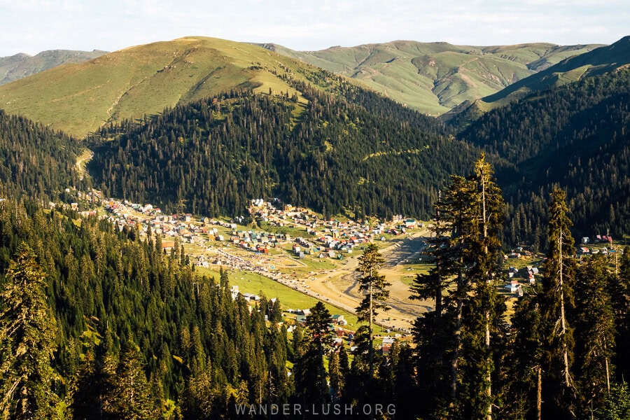 Mountain scenery and pine forests in Bakhmaro, Georgia.