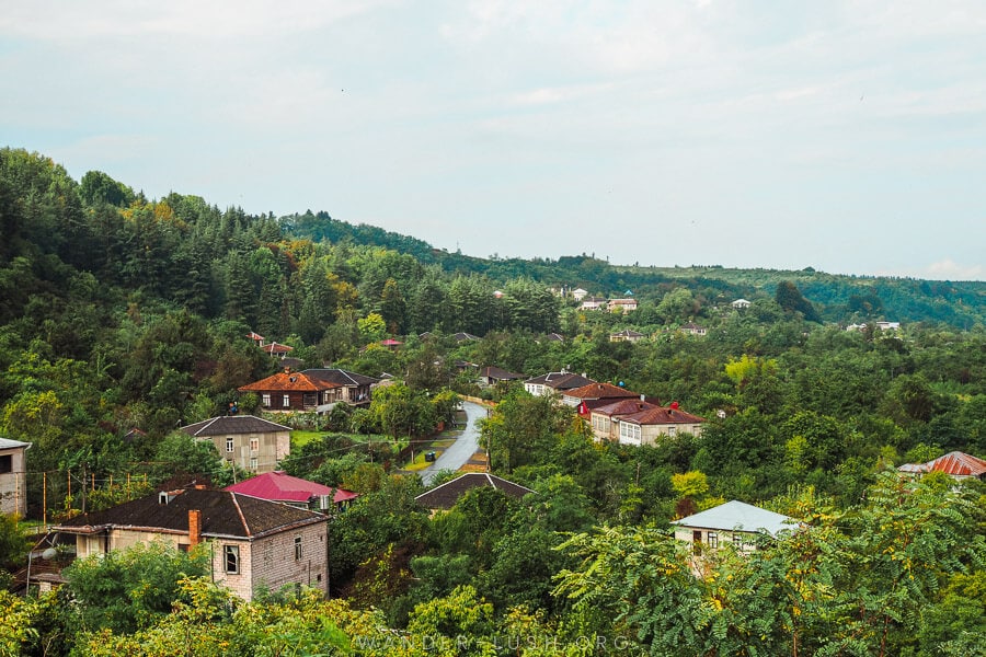 View of Guria region, tiny houses and dense foliage.