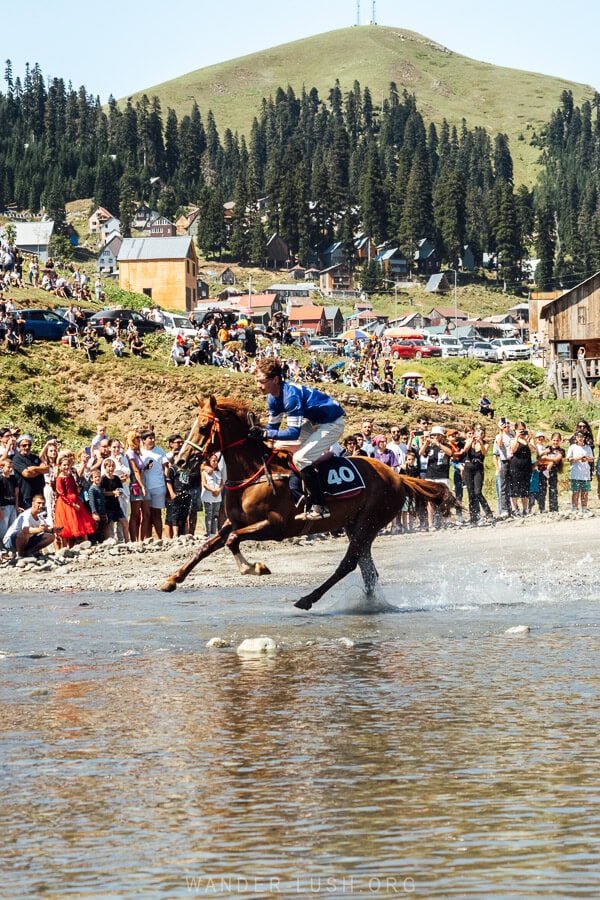 A jockey rides his horse across a river during the Bakhmaro Cup in Guria.