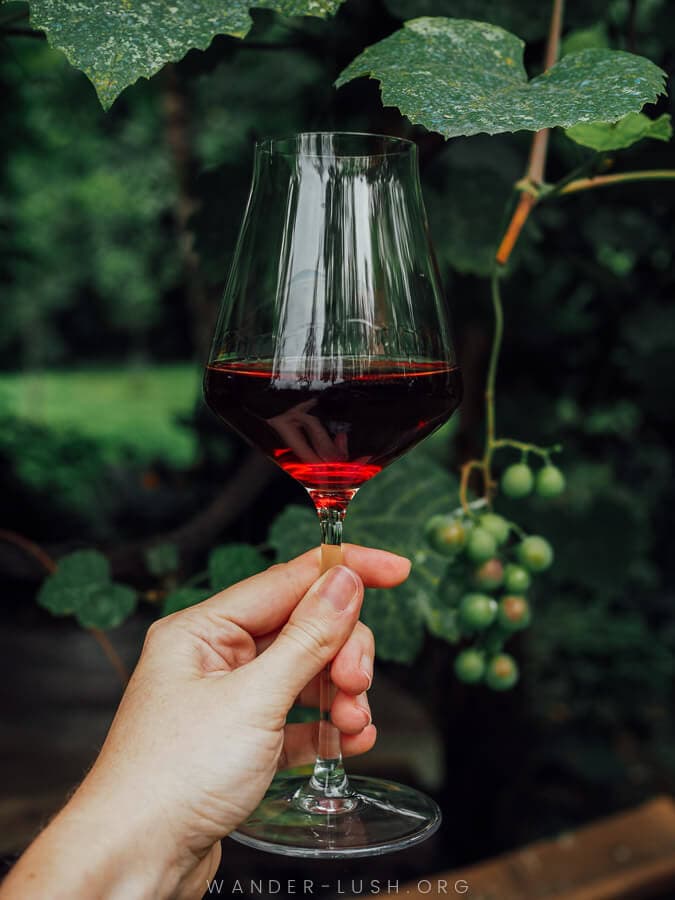 A woman holds a glass of red wine at a winery in Guria region, Georgia.