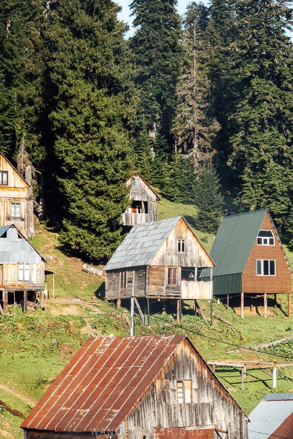 Wooden cabins with different coloured roofs arranged along a hillside in Bakhmaro, Georgia.