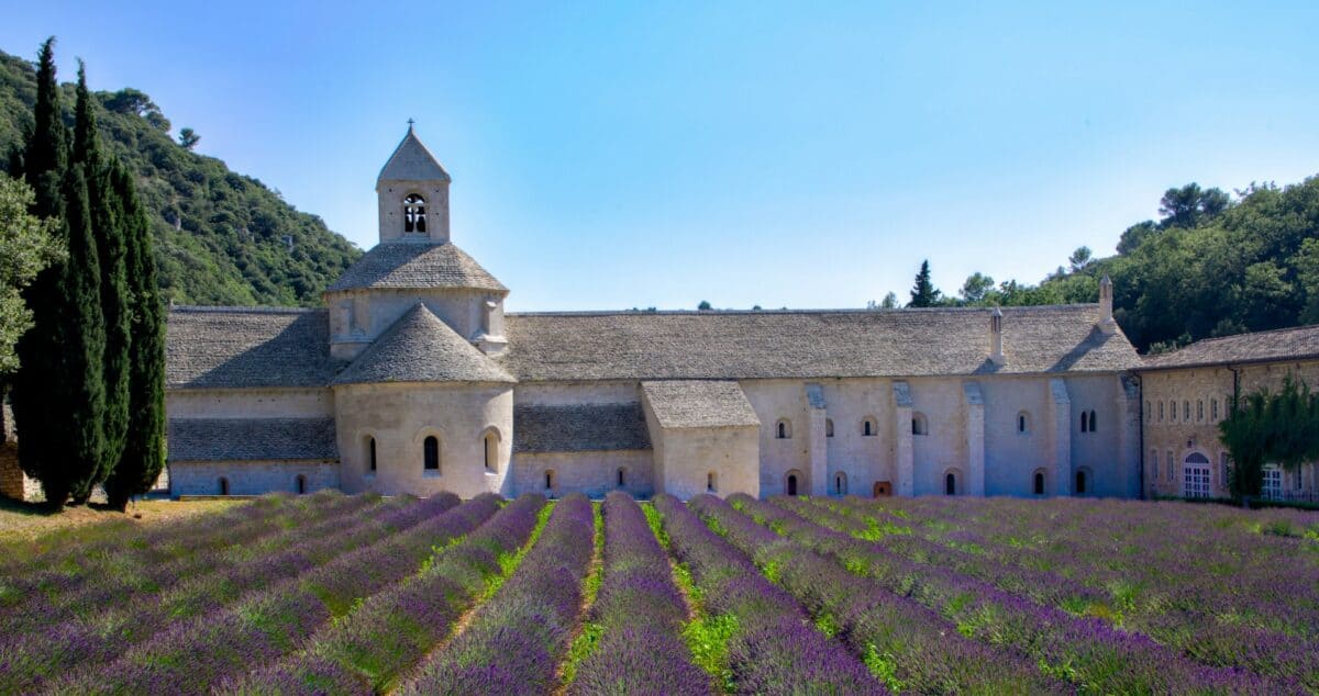 Lavender in front of Abbaye Notre-Dame de Sénanque, Gordes, France