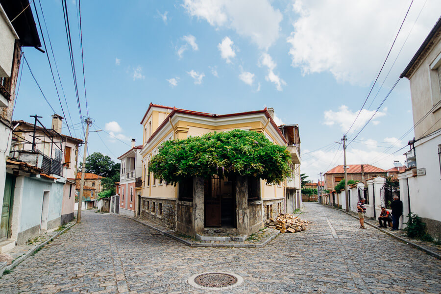 A yellow house with a green tree in front.