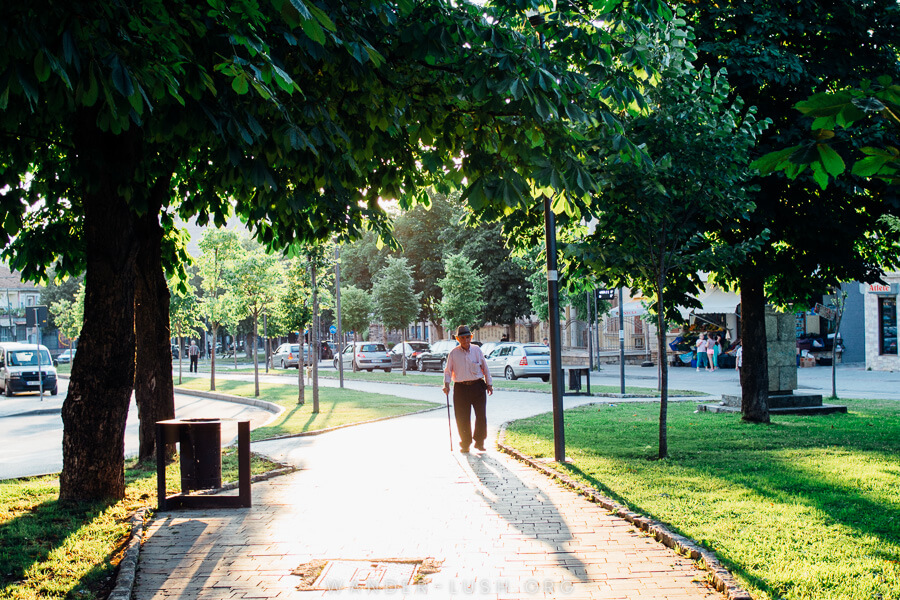 A man walks down the middle of a garden path.