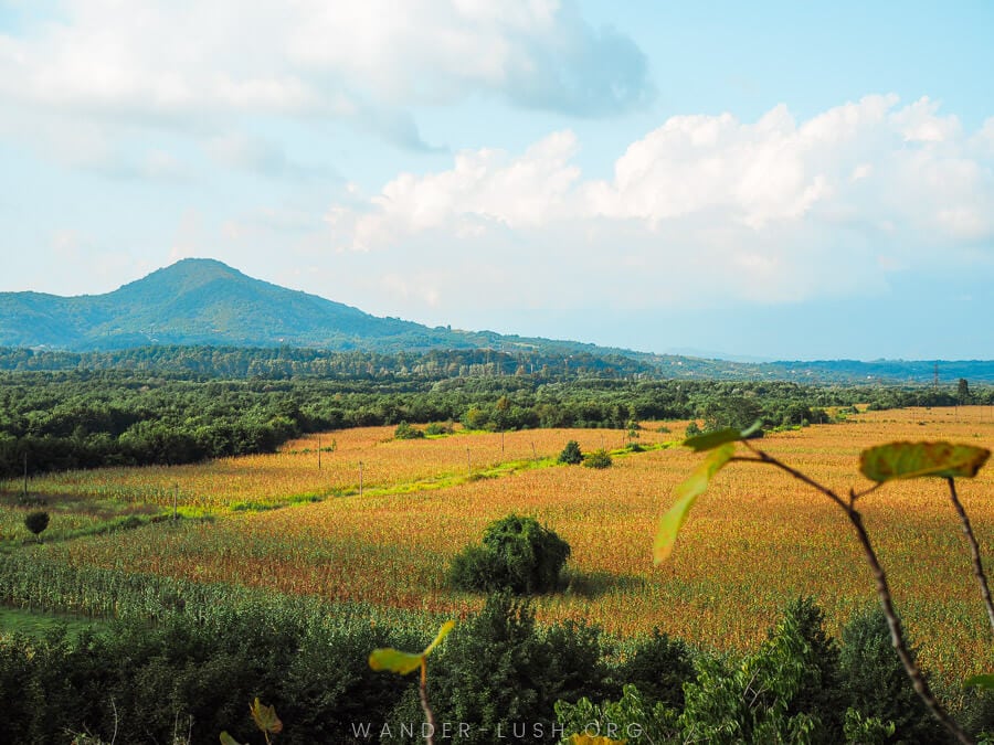 Fields and mountains of Samegrelo and Abkhazia.