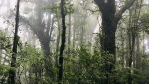 Best National Parks in Honduras | centralamerica.com