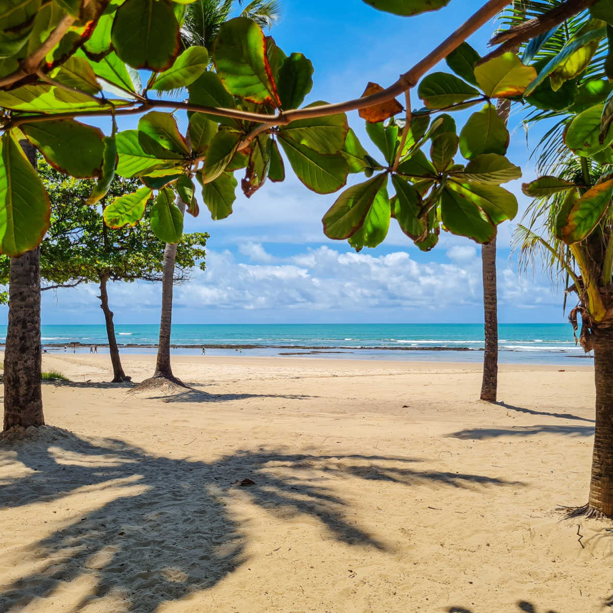 Pristine beach in Recife