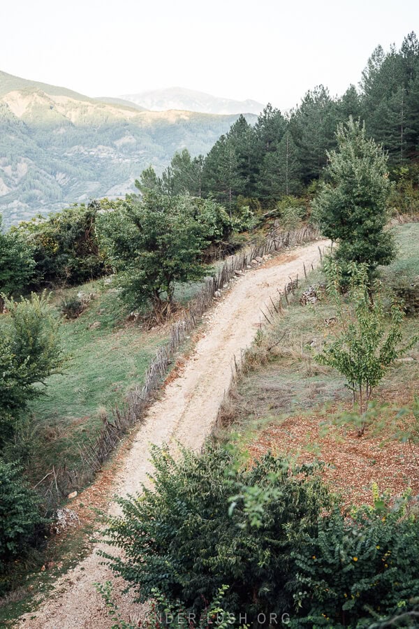 A steep path through the forest in Leus, Albania.