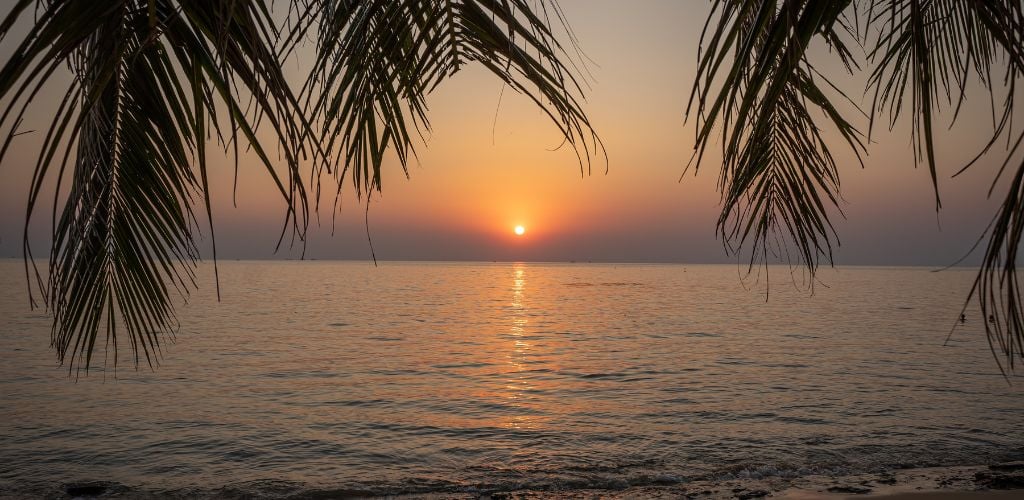 sunset view of a beach in Vietnam, palm leaves hanging in front of horizon