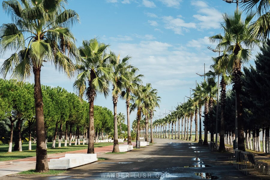 A wide beach boulevard lined with palm trees in Anaklia on Georgia's Black Sea Coast.