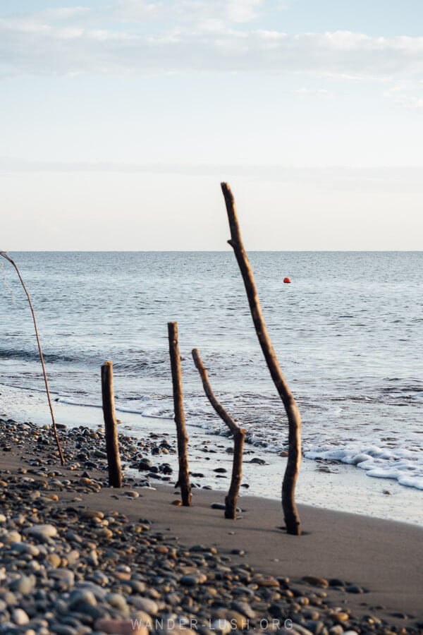 Four pieces of driftwood in the sand on Anaklia Beach in Georgia.