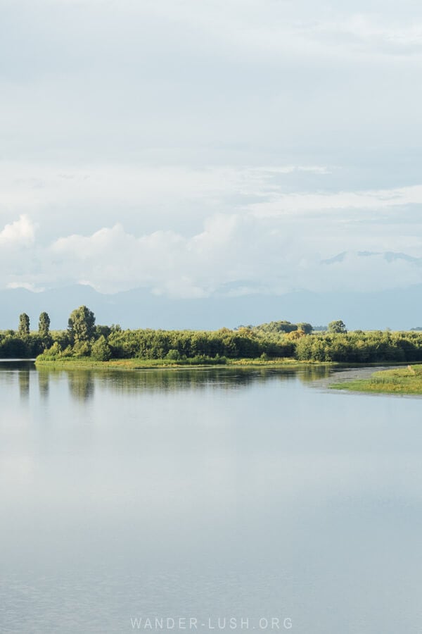 Wetlands at the mouth of the Patara Enguri River in Anaklia, Georgia.