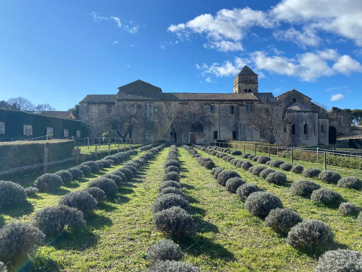 Back garden at Monastery Saint Paul de Mausole