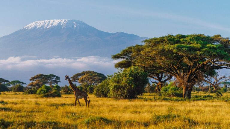 Kenya Is Launching a Digital Nomad Visa