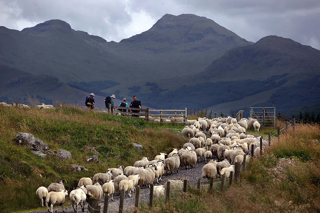 West Highland Way Scotland