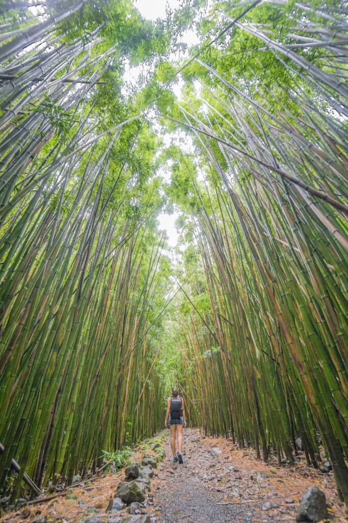 solo female travel hawaii road to Hana 