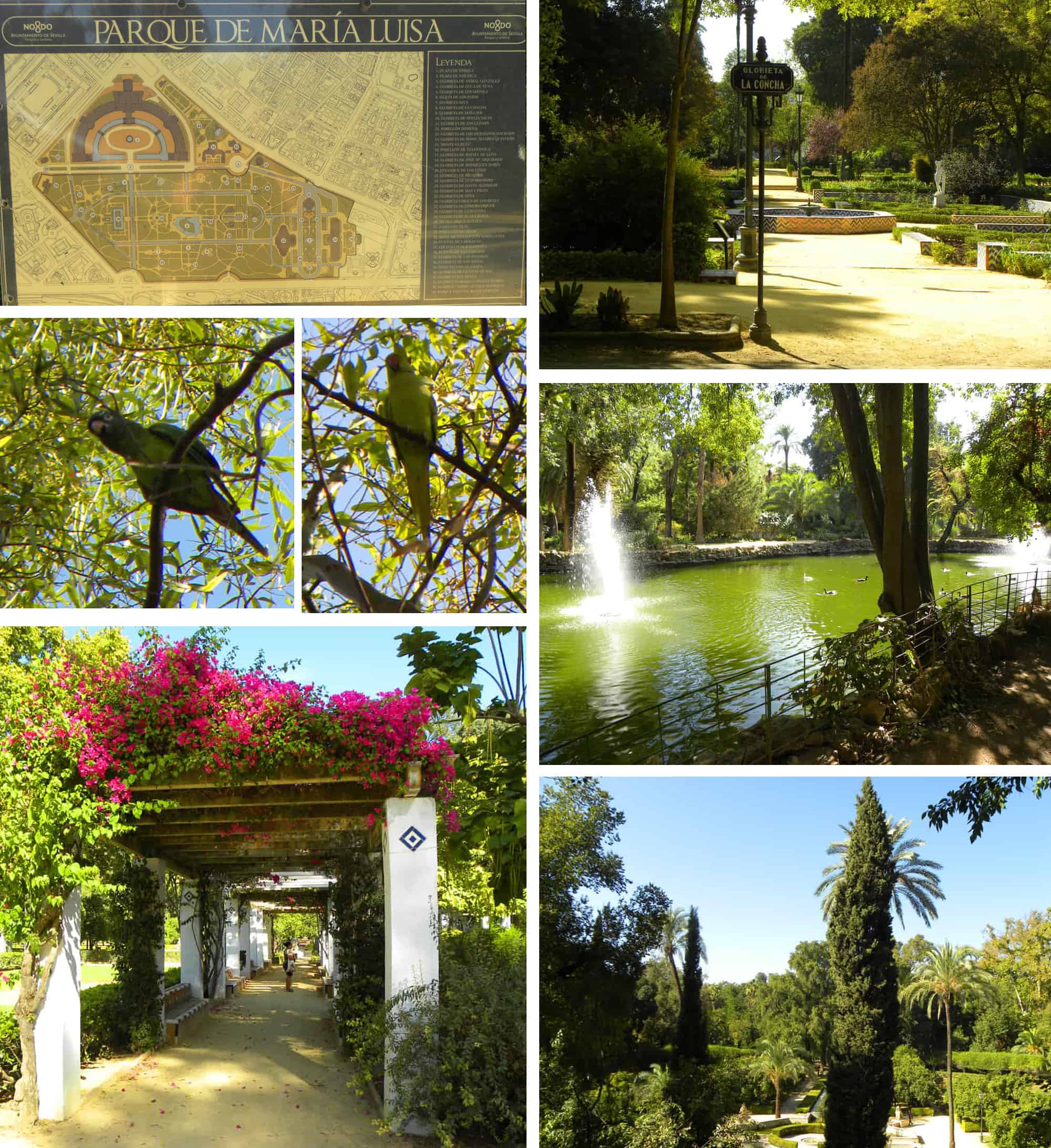 Maria Luisa Park Seville