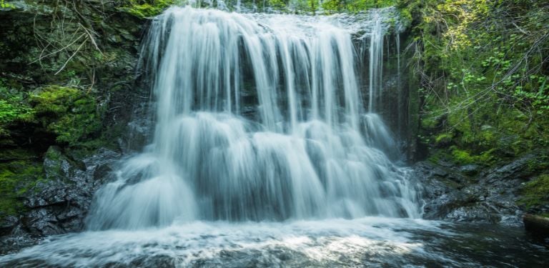 waterfall in jungle with lush greenery surrounding cascading water over rocks 