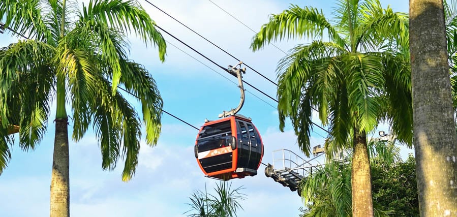 best places to visit in singapore - image of cable car amongst palm trees