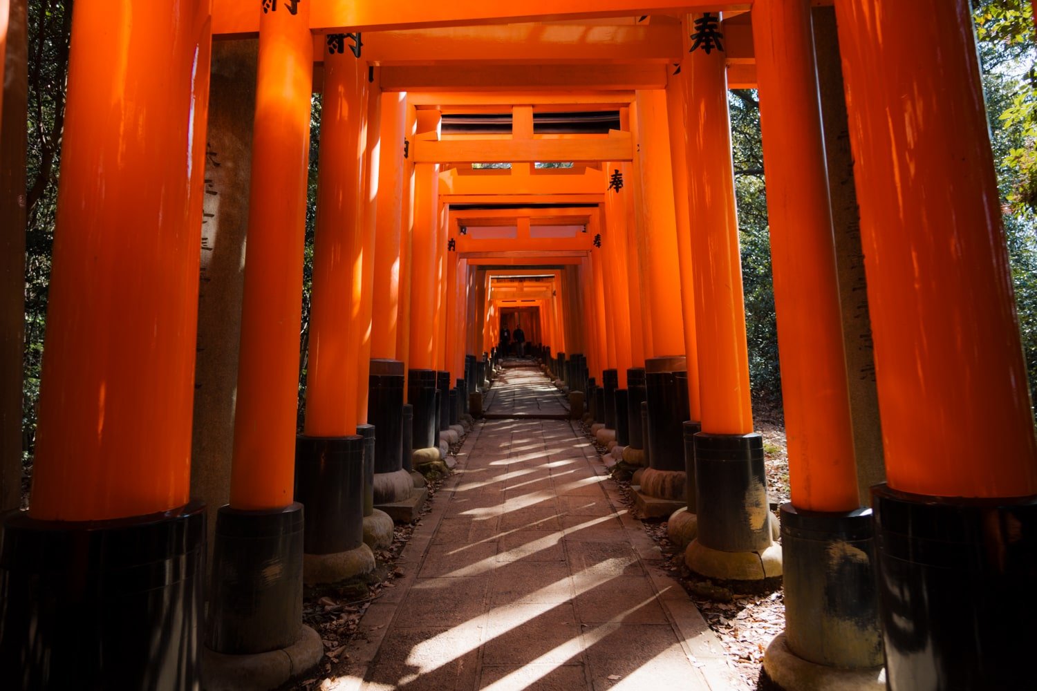 Row of vermillion Torii gates on hillside Mount Inari, inside Fushimi Inari shrine, Kyoto.