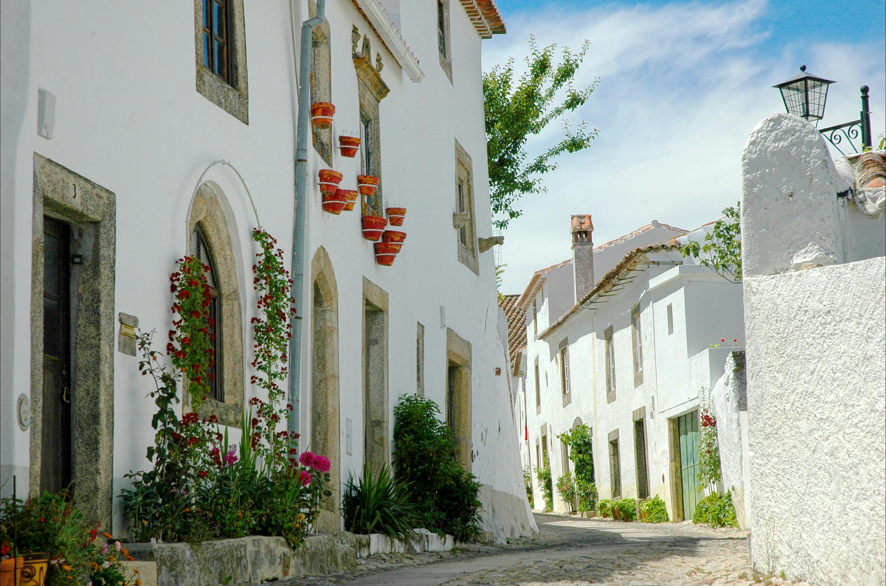 A narrow, cobblestone street lined with white, historic houses adorned with potted plants and flowers