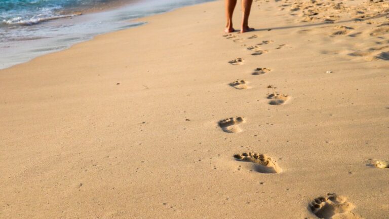 Barefoot Luxury and Earthing in Costa Rica: A Natural Connection