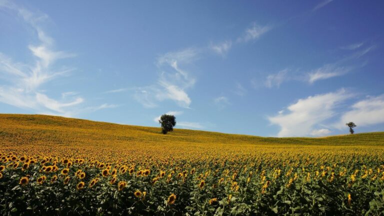 Day of Slowness: top destinations for slow tourism in Italy - Visit Italy EU