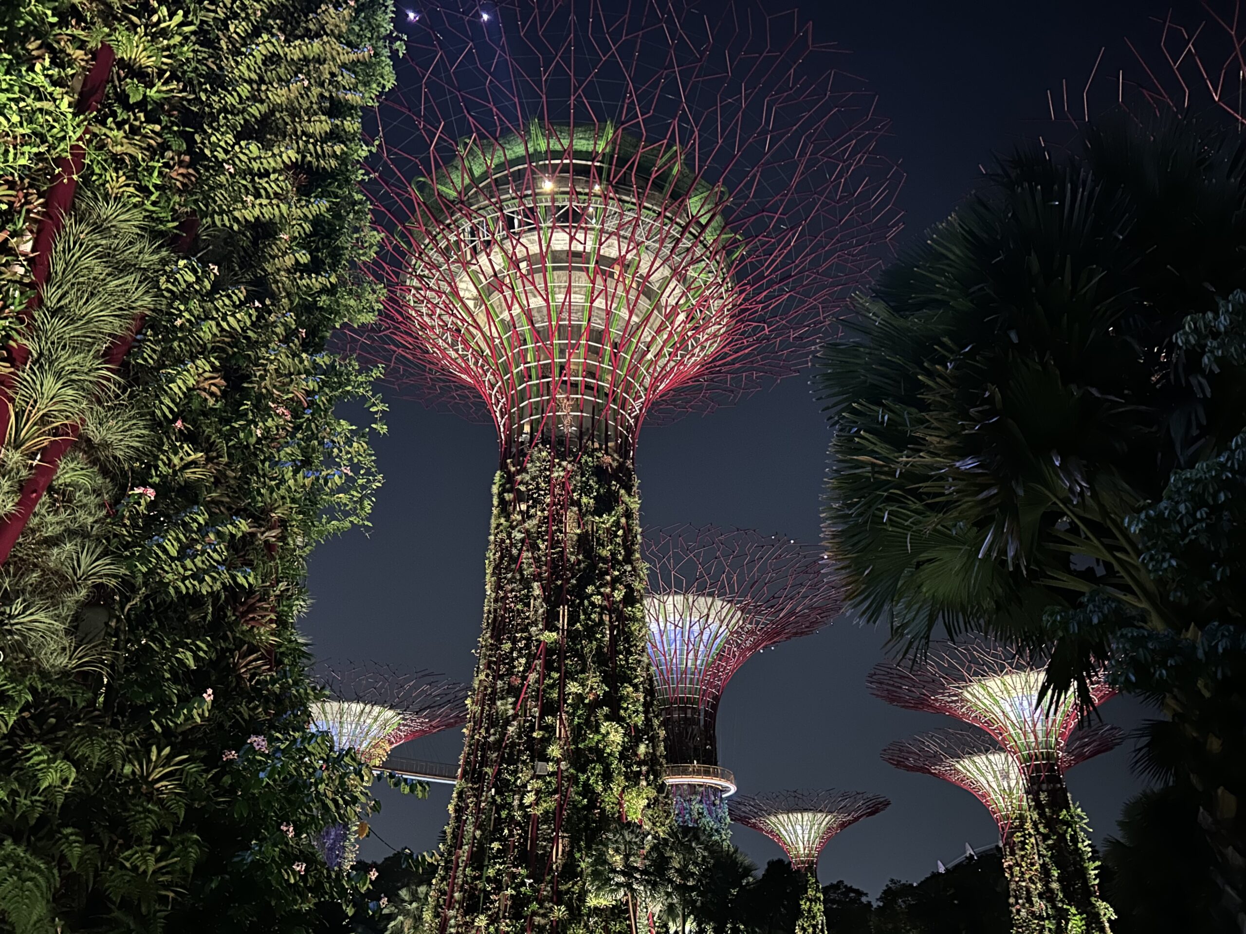 Gardens by the Bay in Singapore