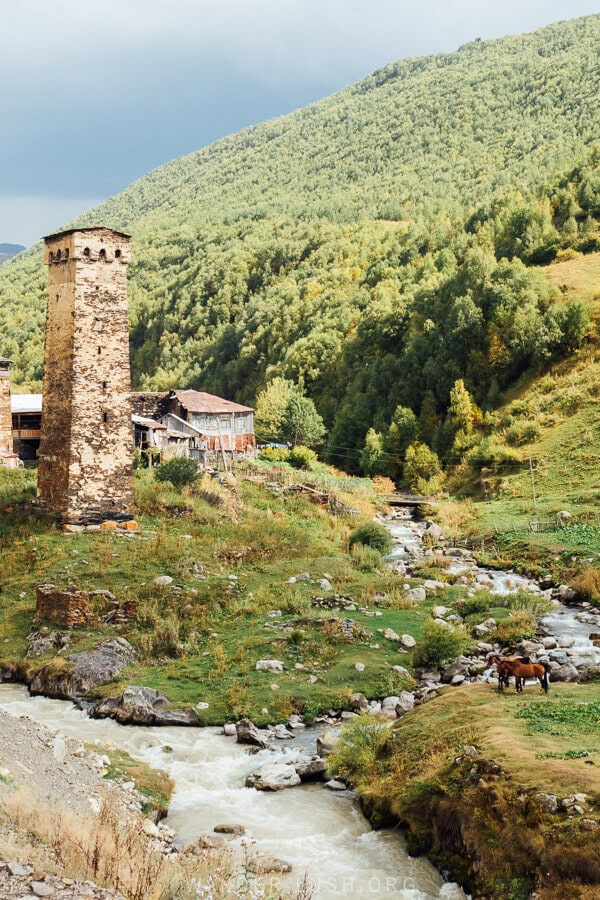 A green valley in Svaneti with a river running through it and two horses grazing on the bank.