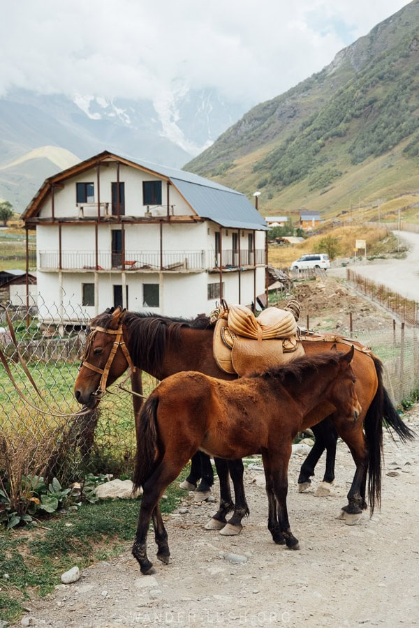 Two horses on a dirt road in front of a chalet in Ushguli, Svaneti.