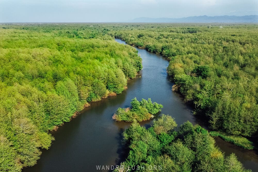 The Pichori River running through Kolkheti National Park, a protected area and UNESCO Site in Poti, Georgia.