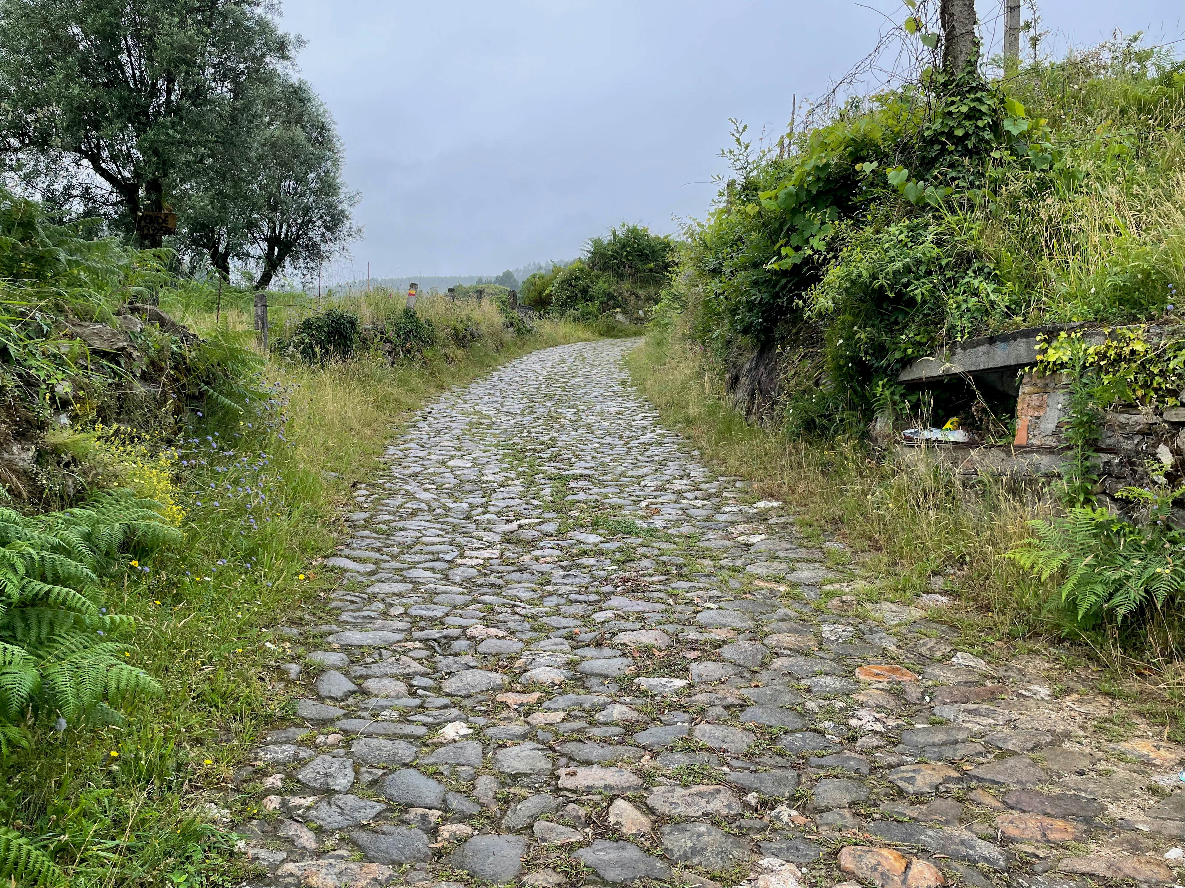 yeager_caminoportuguese_cobblestone.jpeg