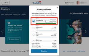 Easy Peasy: Using Capital One Miles to Cover Travel Purchases