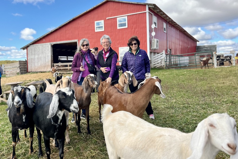 Sandra Quinn, Lynn Woodhouse and Debbie Zlotowitz walking goats on a farm in Canada.